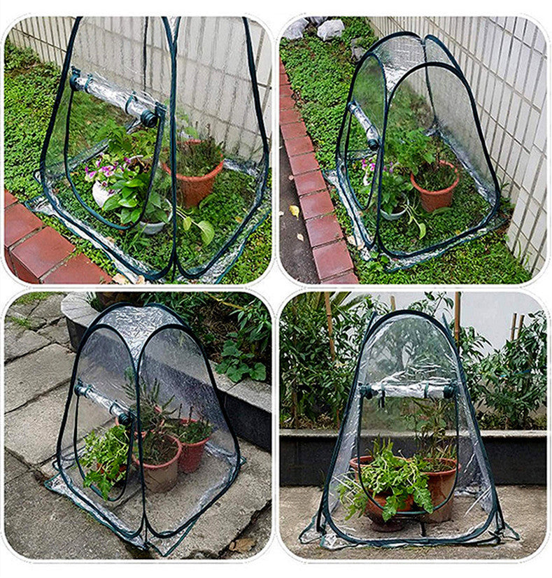 Outdoor GardenPlants and FlowersAntifreezeGreenhouse