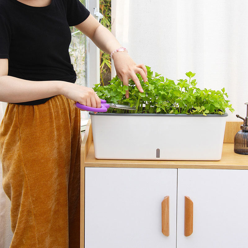 自動給水付きプランターポット|初心者でも簡単に育てられる植物鉢