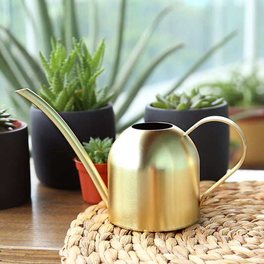 ステンレス製植物用じょうろ|ロングノズルでやさしく水やりできるガーデンポット