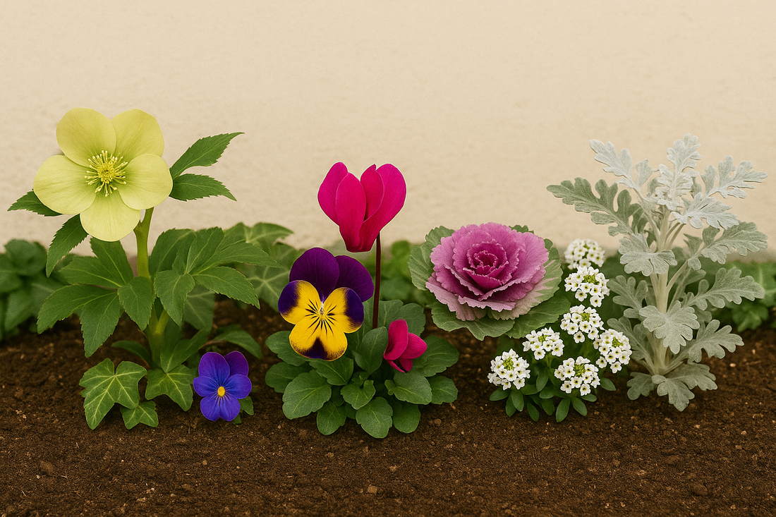 寒さに強い！冬の花で彩るおしゃれガーデニング術