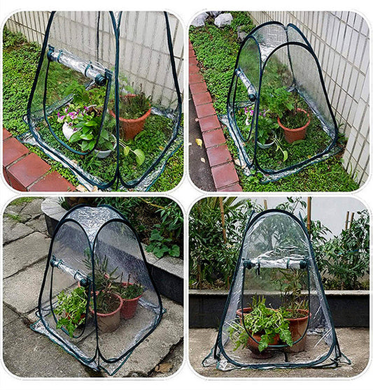 Outdoor GardenPlants and FlowersAntifreezeGreenhouse
