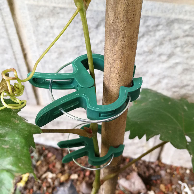 植物固定クリップ（支柱・つる植物用）
