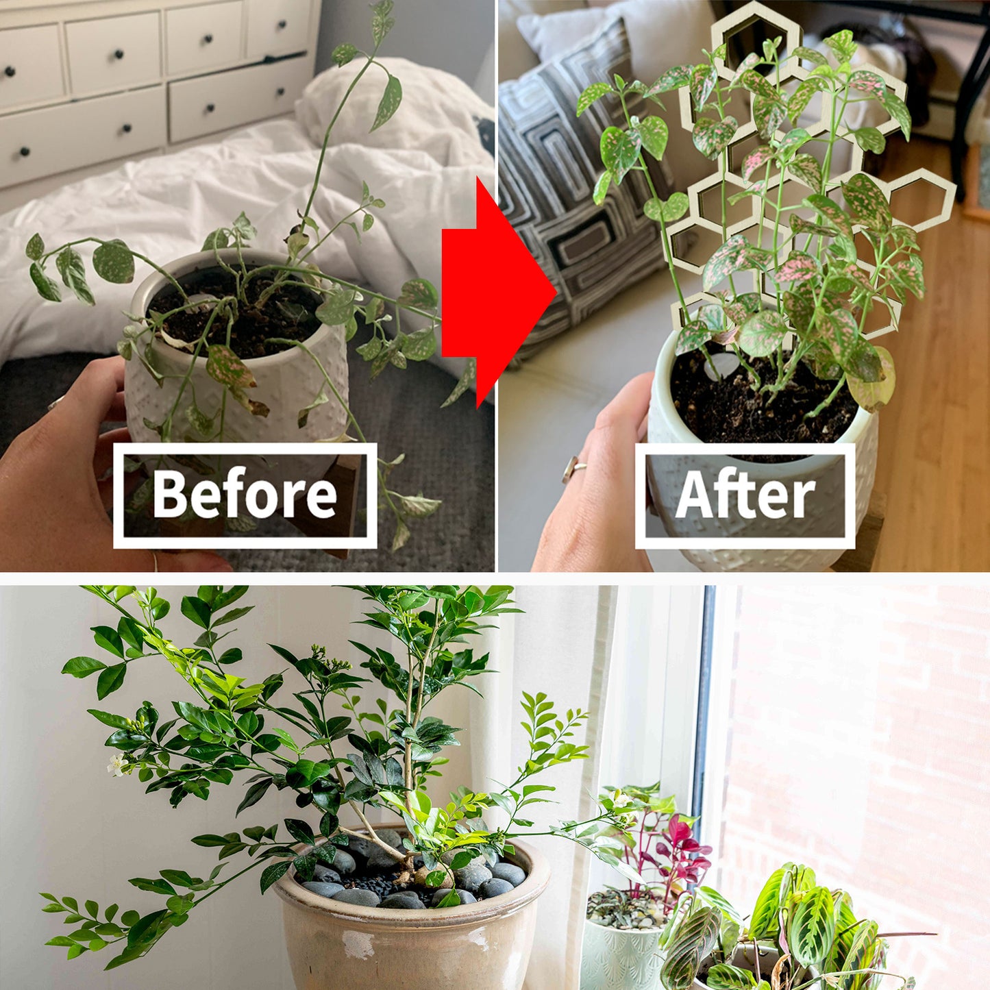 Gardening Support Outdoor Potted Planter
