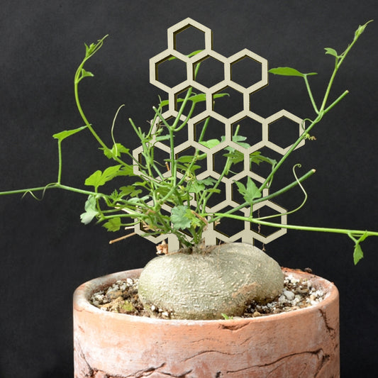Gardening Support Outdoor Potted Planter