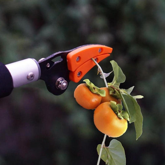 Garden persimmon, grape, peach tree branches, durable long shear tool
